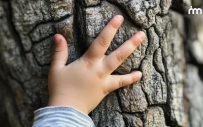 Escuchando los secretos de los árboles – Una actividad mindful para niños